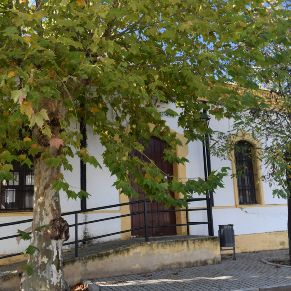 Barrio de Casas nuevas (17)