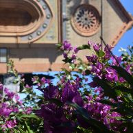 Iglesia de San Fernando (20)