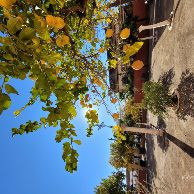 Iglesia de San Fernando (8)