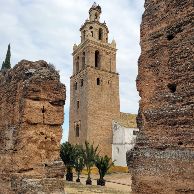 Ruinas del palacio de Villanueva del Rio (4)