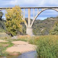 Rio y puentes (1)
